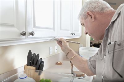 Cabinet Painting and Refinishing — cost of