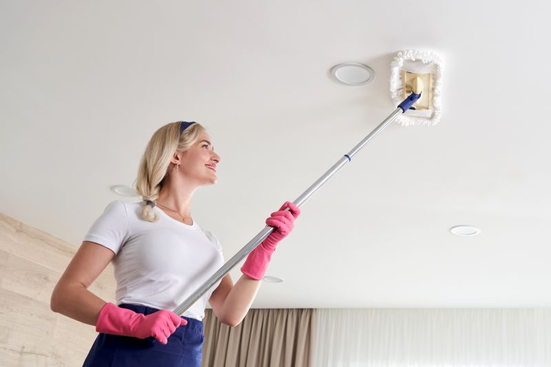 Ceiling Smoothing Service